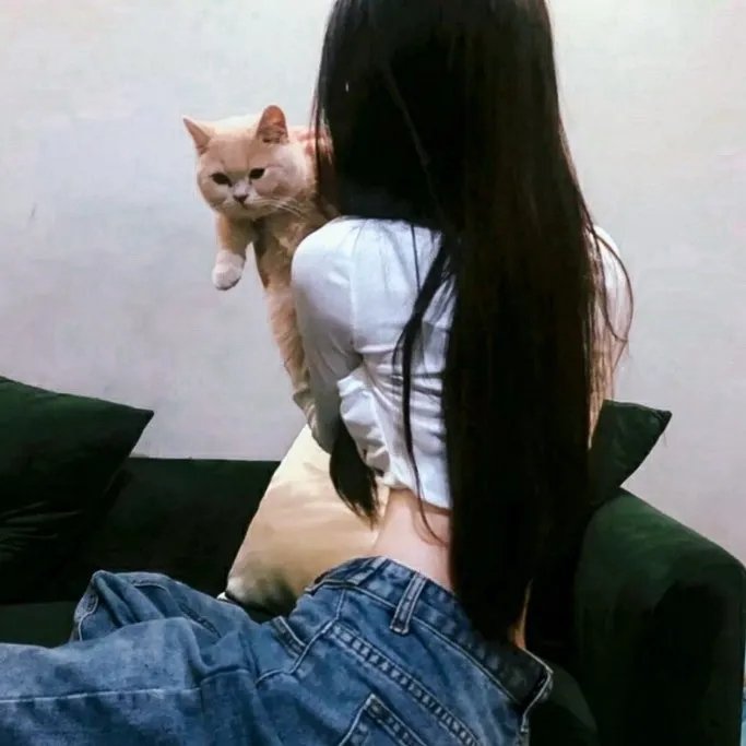 猪头汉堡包